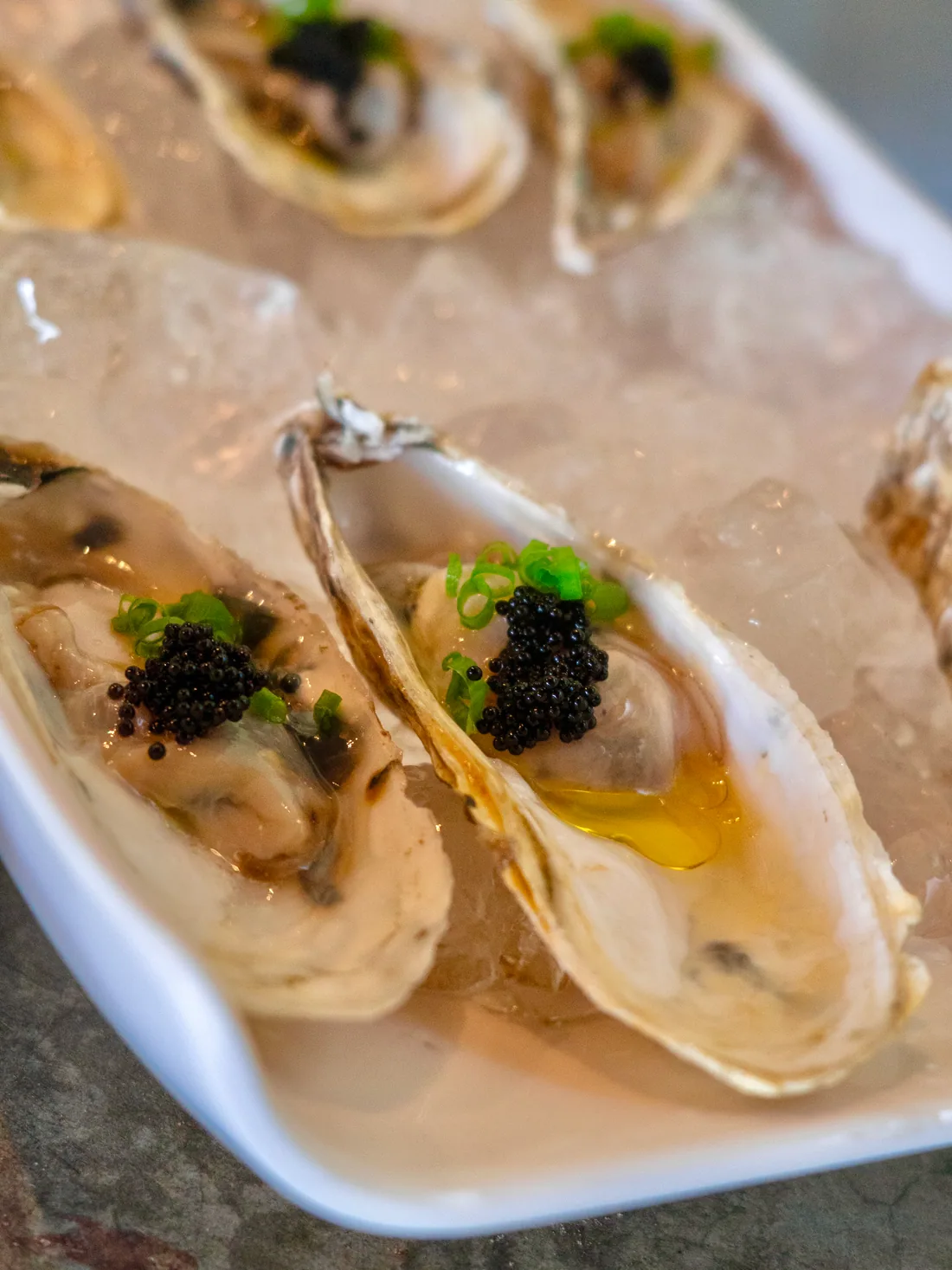 Ostras frescas no gelo com caviar e cebolinha